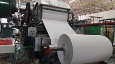 تحقیق درباره مراحل تولید کاغذ از جنگل تا کارخانه