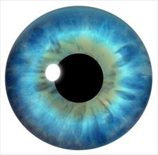 دانلود کمک پایان نامه چشم ، عملکرد چشم ، بیماری های چشمی و راه های درمان