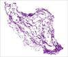 لایه نقشه گسل کل ایران ( شیپ فایل)